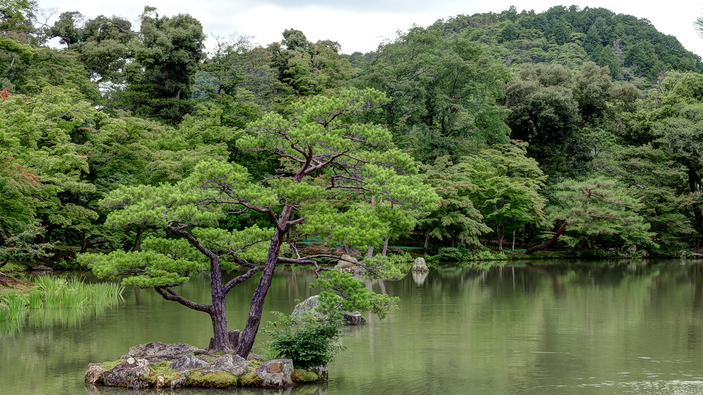 木もれび造園の手がけた庭
